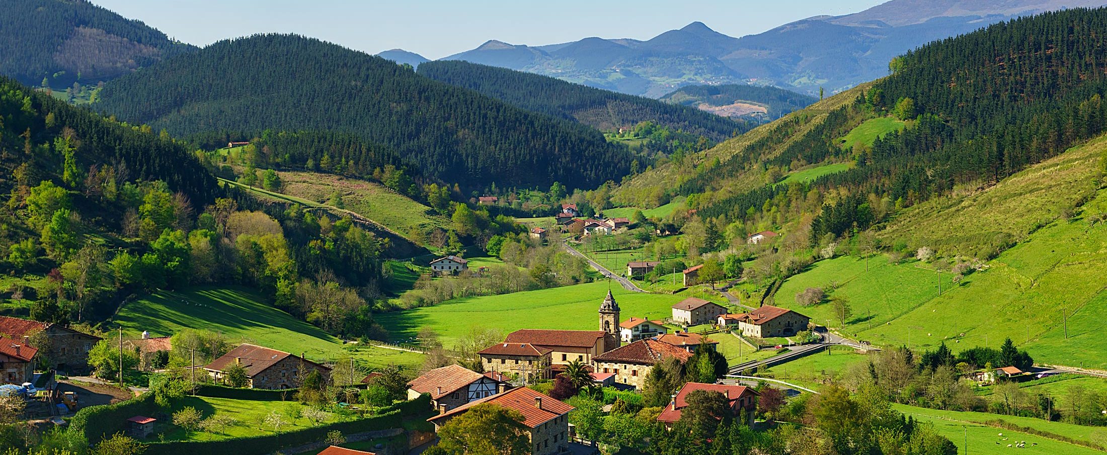 Locations: Forest & Mountains