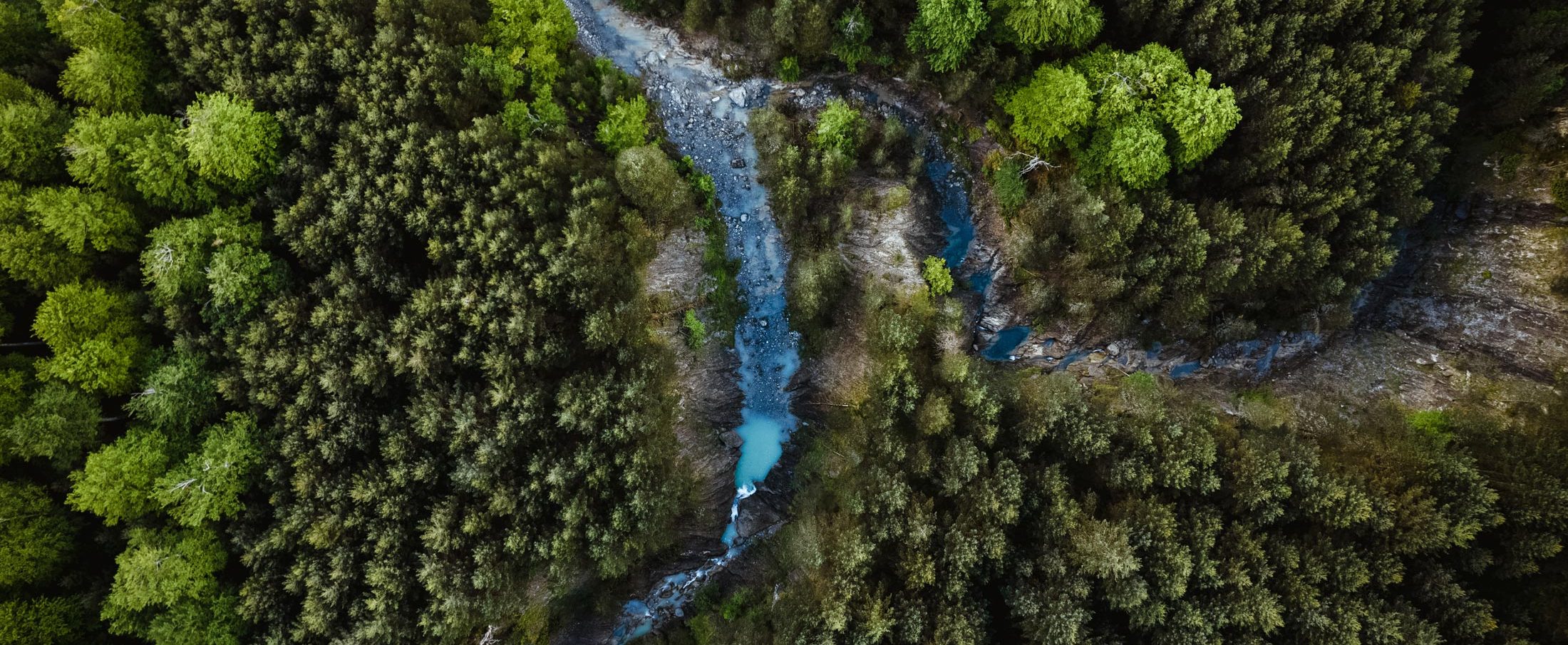 locations-fresco-film-forest-and-mountains-d